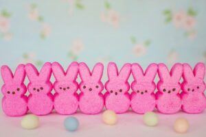 pink marshmallow peeps