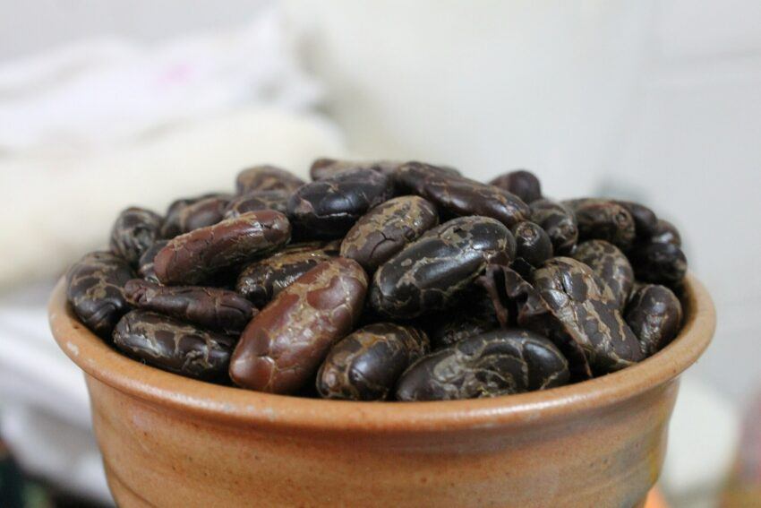 Roasted Cacao Beans